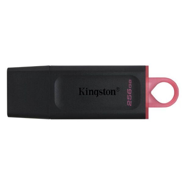 USB-флеш Kingston DataTraveler Exodia 256GB (DTX/256GB)