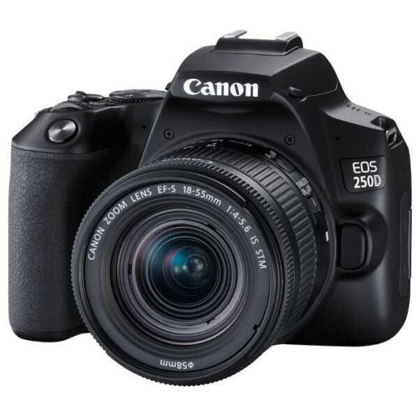 Фотоаппарат Canon EOS 250D Kit 18-55 IS STM (черный)