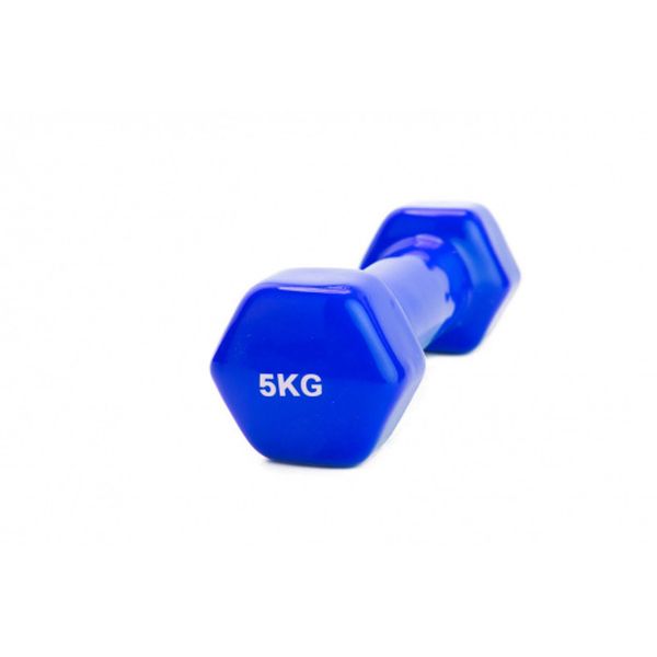 Гантель Bradex SF 0168 5 кг (синий)
